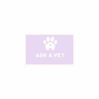 Ask A Vet