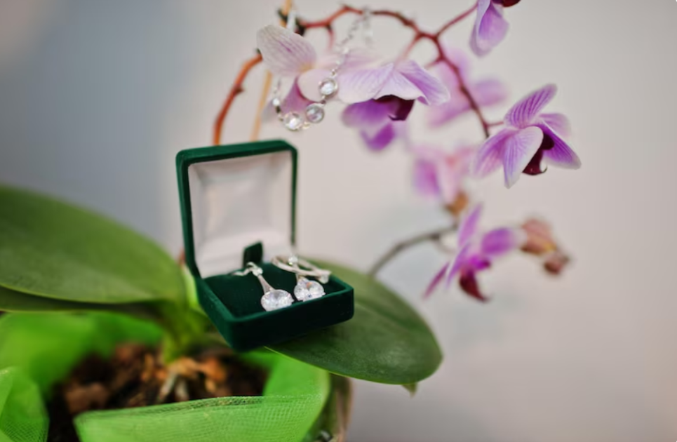 Mint and Lily Jewelry Review: Meaningful Pieces Worth Buying?