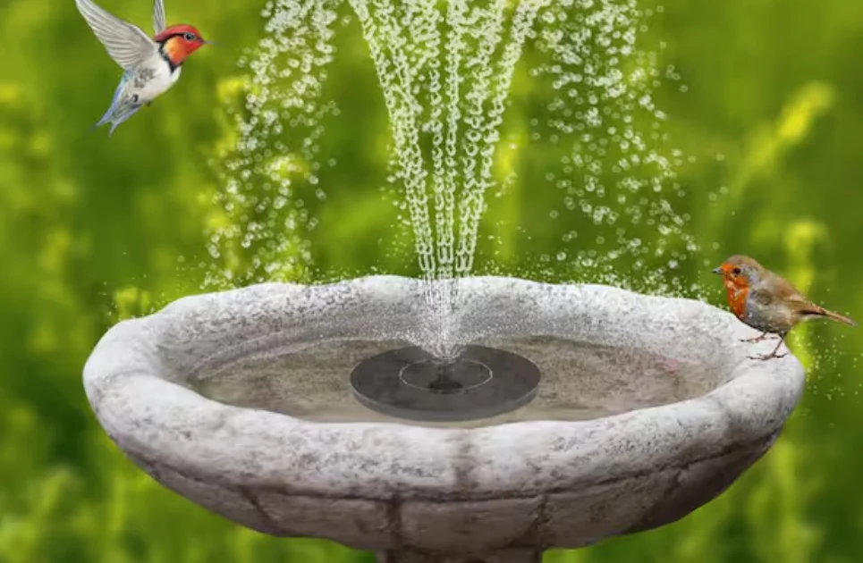 Solar Powered Birdbath Fountain