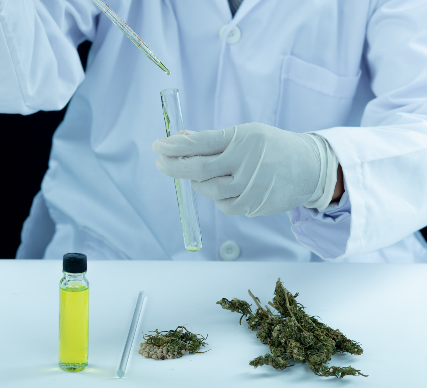 Looperverse Guide: Cannabinoid Products, Formats & Lab Testing
